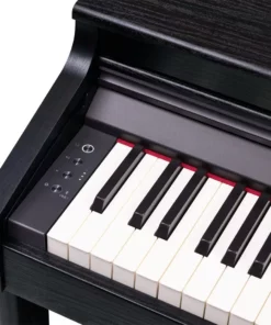 ROLAND RP-701 CB