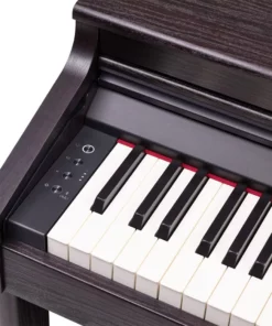 ROLAND RP-701 DR