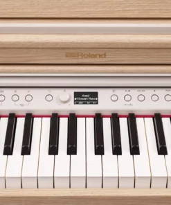 ROLAND RP-701 DR