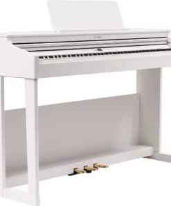 ROLAND RP-701 DR
