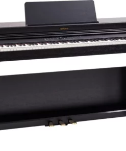 ROLAND RP-701 DR