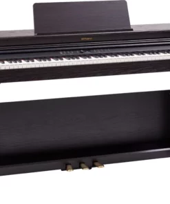 ROLAND RP-701 DR