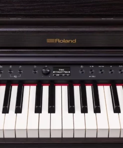 ROLAND RP-701 DR