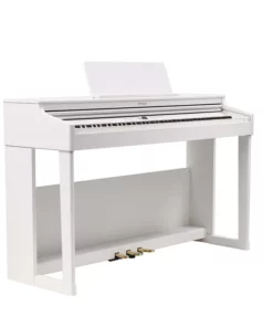 ROLAND RP-701 WH