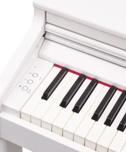 ROLAND RP-701 WH