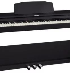 ROLAND RP-102