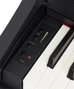 ROLAND RP-102
