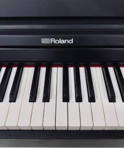 ROLAND RP-102