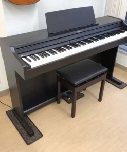 ROLAND RP-301 RW