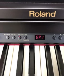 ROLAND RP-301 RW