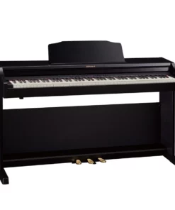 ROLAND RP-302 RW