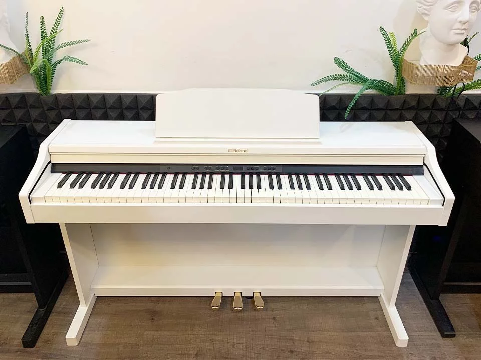 ROLAND RP-501R WH