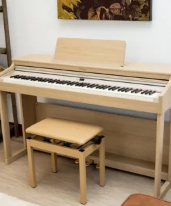 ROLAND RP-701 LO