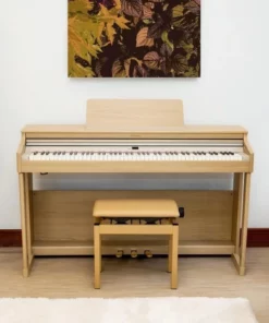 ROLAND RP-701 LO