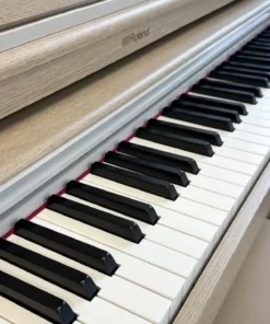 ROLAND RP-701 LO