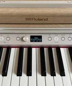 ROLAND RP-701 LO