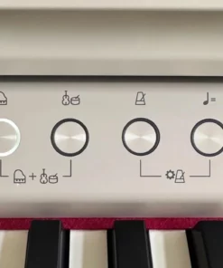 ROLAND RP-701 LO