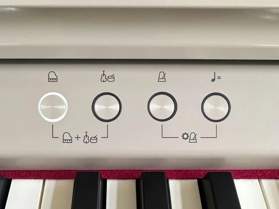 ROLAND RP-701 LO - Nah Music