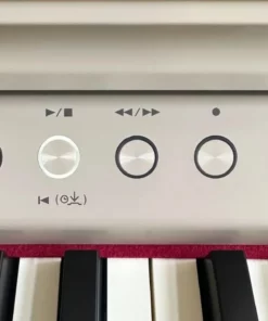 ROLAND RP-701 LO
