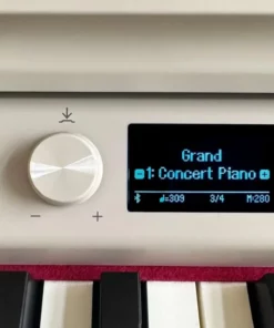 ROLAND RP-701 LO