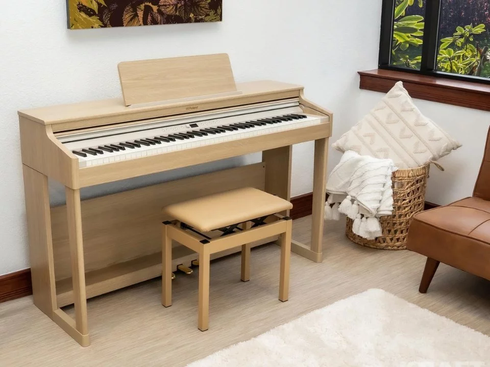 ROLAND RP-701 LO - Nah Music