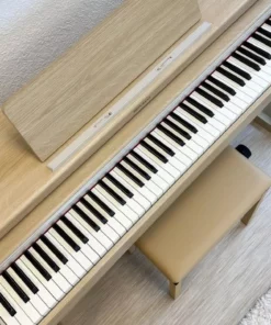ROLAND RP-701 LO