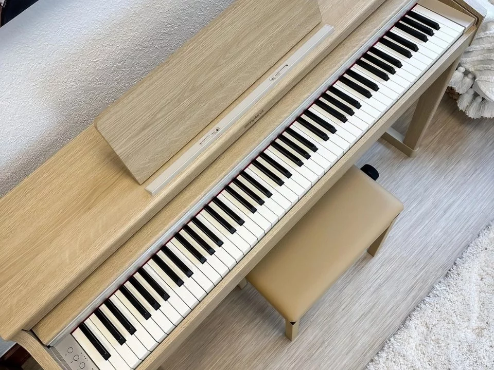 ROLAND RP-701 LO - Nah Music