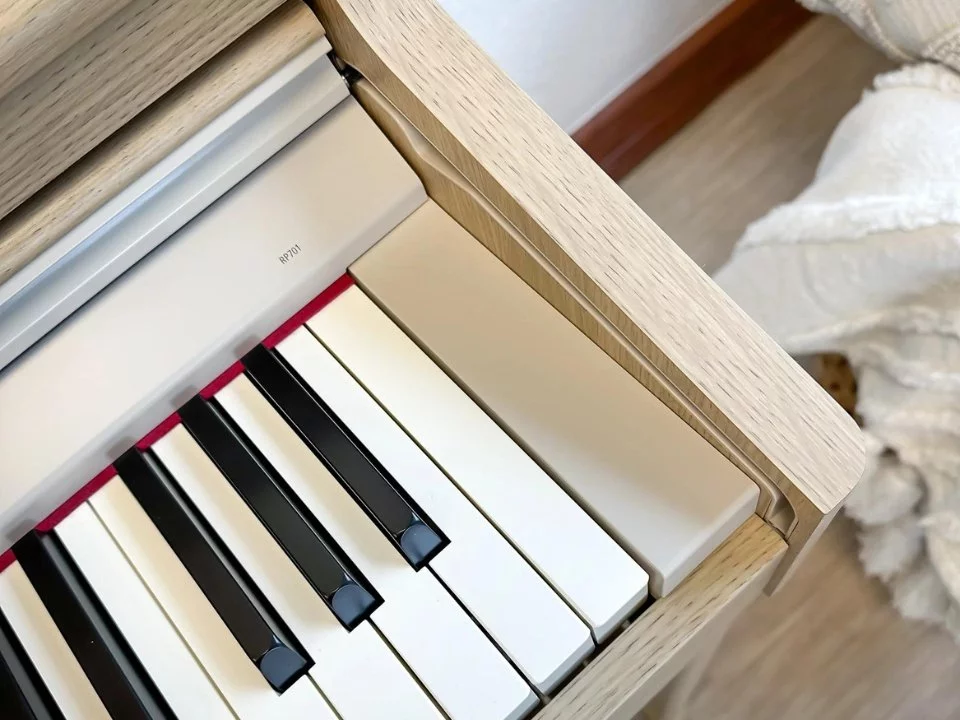 ROLAND RP-701 LO - Nah Music