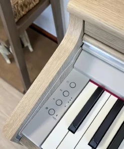 ROLAND RP-701 LO