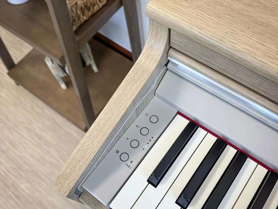 ROLAND RP-701 LO - Nah Music