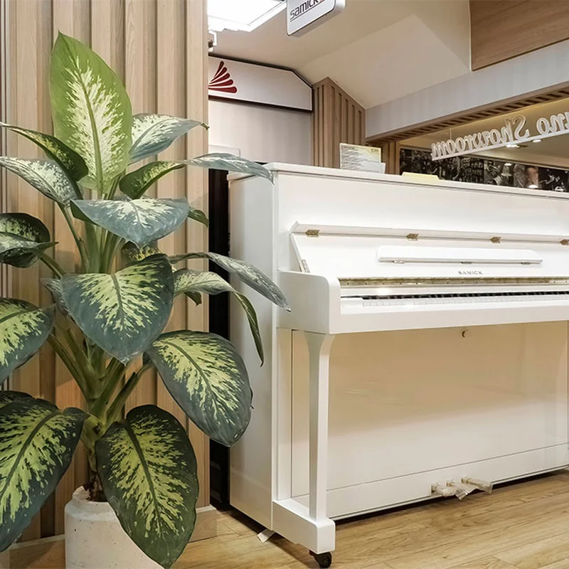 Review Samick JS115D EBHP – Hình ảnh thực tế tại showroom Nah Music