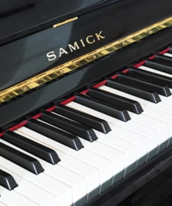 Samick JS121FD