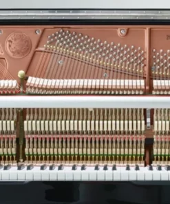 Samick JS121FD