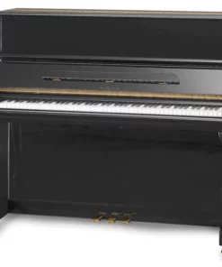 Samick JS121FD