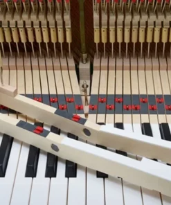 Samick JS121FD