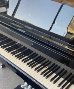 Sauter 220 Omega (USED)