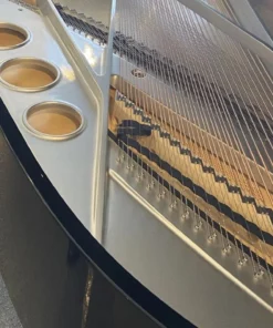 Sauter 220 Omega (USED)