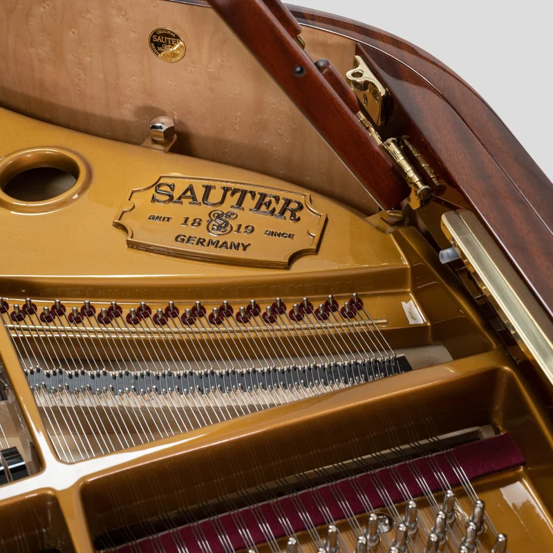 Sauter Alpha 160 Mahogany – Toàn cảnh thiết kế tại Nah Music