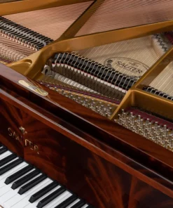 Sauter Alpha 160 Mahogany