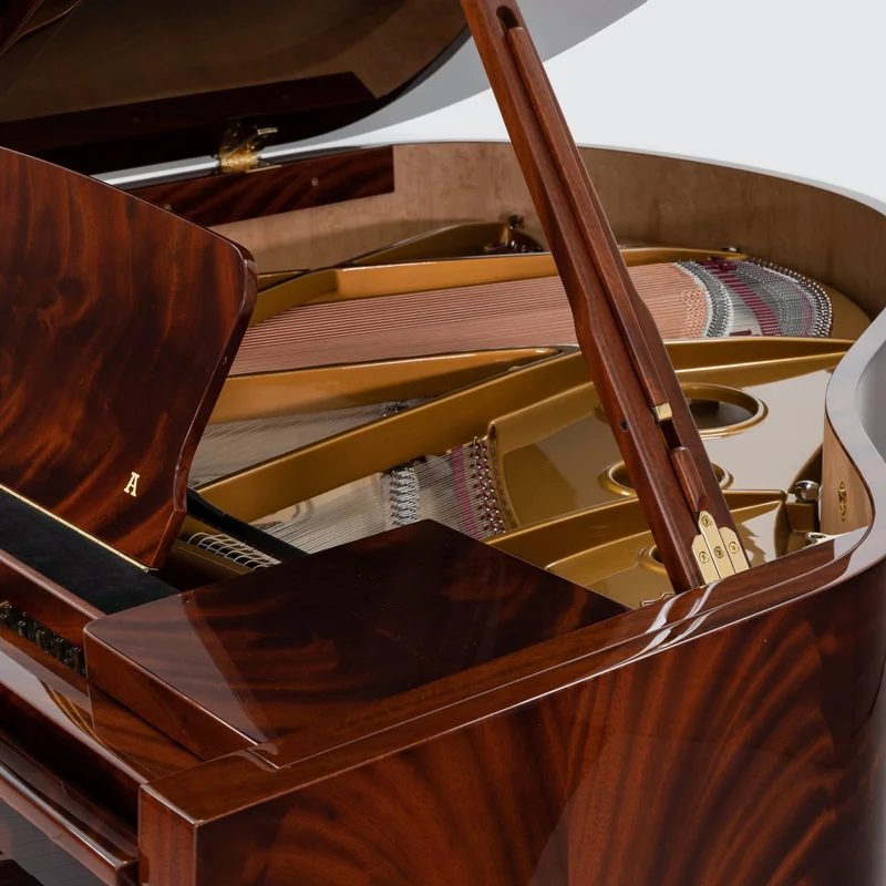 Sauter Alpha 160 Mahogany