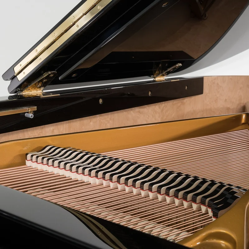 Sauter Alpha 160 - Polished Black – Toàn cảnh thiết kế tại Nah Music