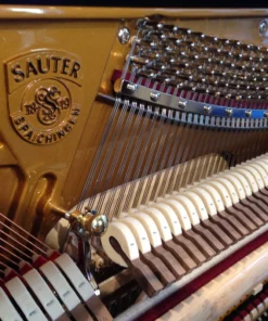 Sauter Masterclass 122