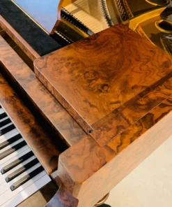 Sauter Noblesse 185