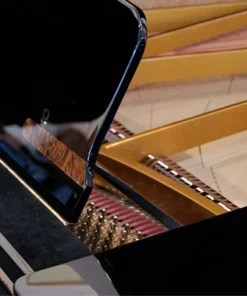 Sauter Omega 220 | Semi-Concert Grand Piano