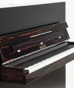 Sauter Pure Basic (Black Matte & Walnut)