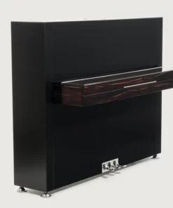 Sauter Pure Basic (Black Matte & Walnut)