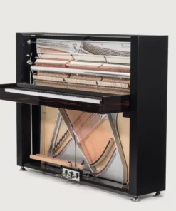 Sauter Pure Basic (Black Matte & Walnut)