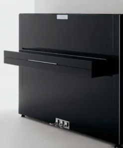 Sauter Pure Basic (Black Matte & Walnut)
