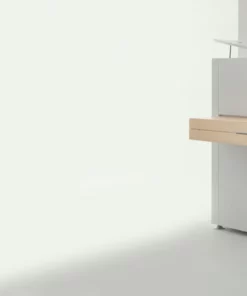 Sauter Pure Basic (Matte White & Satin Maple)