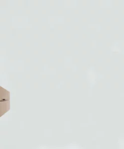 Sauter Pure Basic (Matte White & Satin Maple)